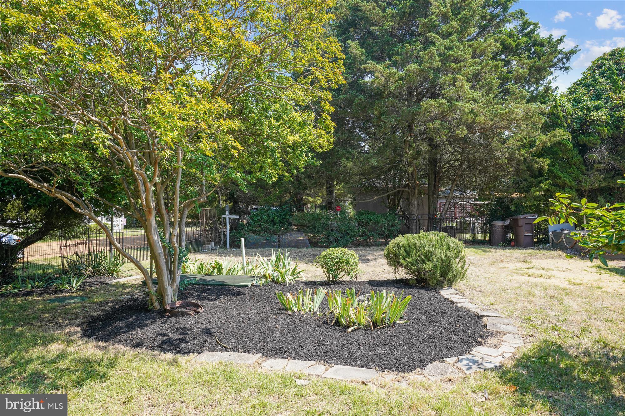 3143 Calvert Boulevard Lusby, MD 20657 - Photo 14 of 36 a view of a backyard with tree s