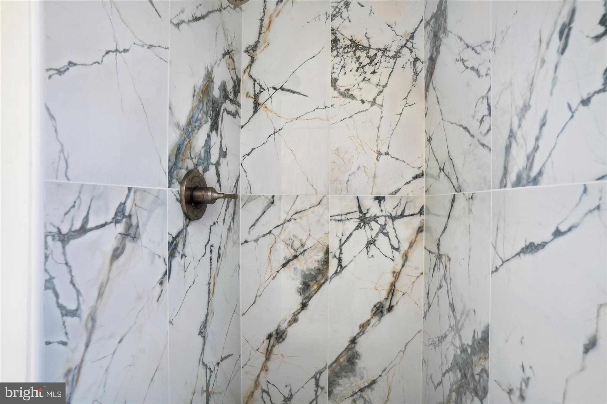 3143 Calvert Boulevard Lusby, MD 20657 - Photo 36 of 36 a view of a yard with a tree