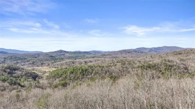 a bedroom with a bed and a walk in closet