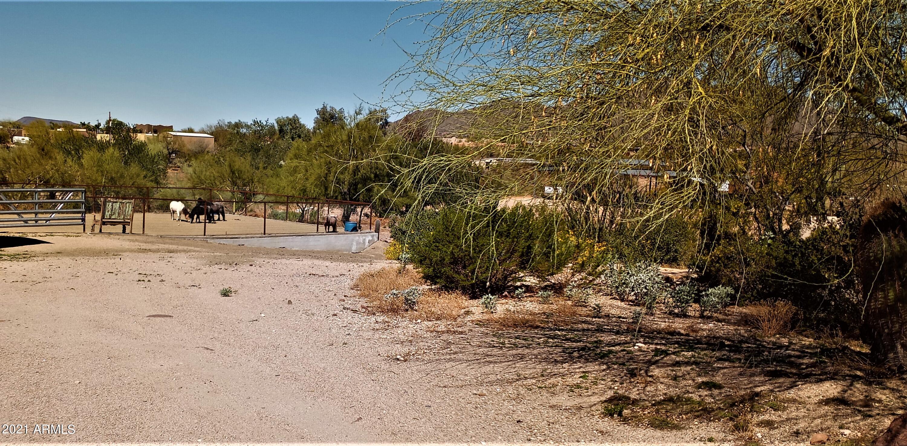 235 West Ridgecrest Road Phoenix, AZ 85086 - Photo 3 of 80 Easy Access to Horses