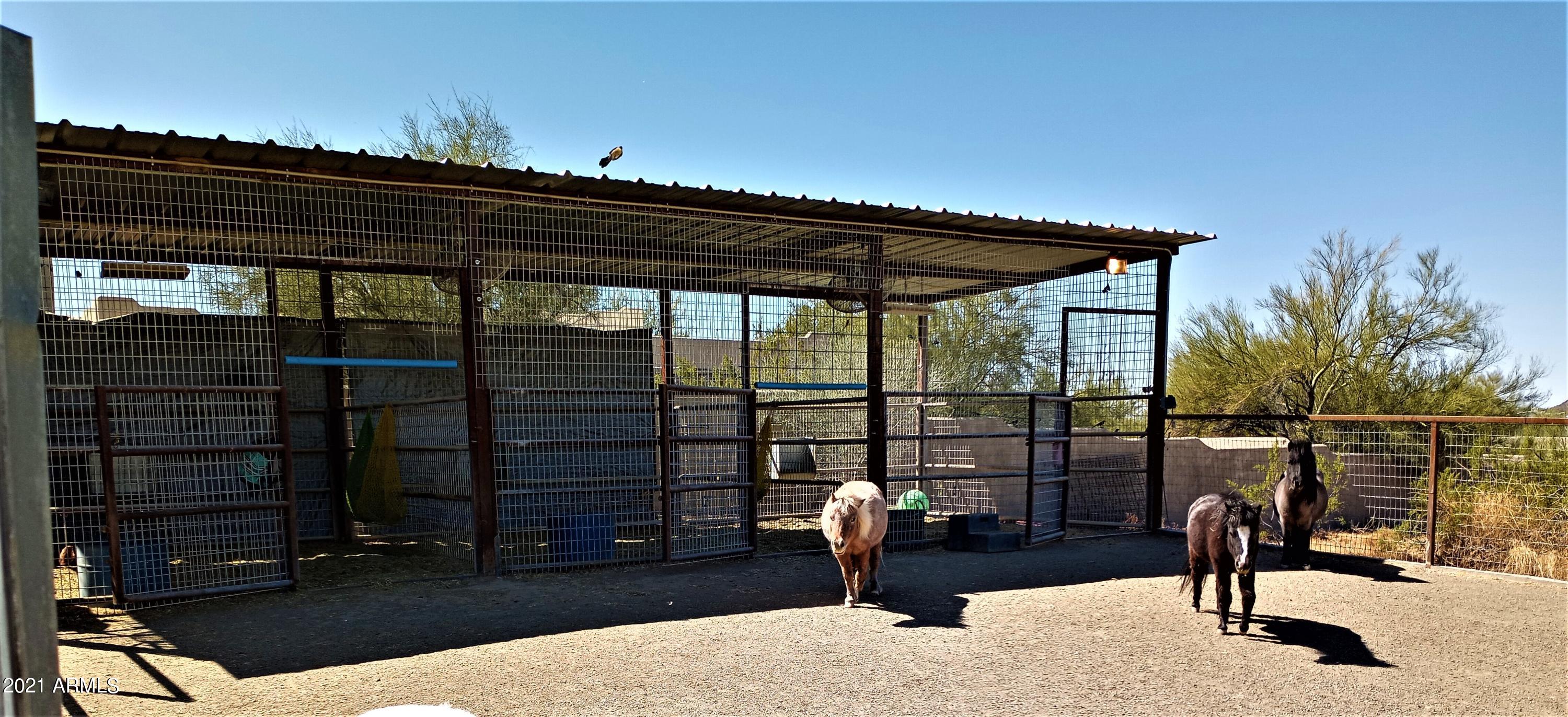235 West Ridgecrest Road Phoenix, AZ 85086 - Photo 4 of 80 Reinforced Corrals