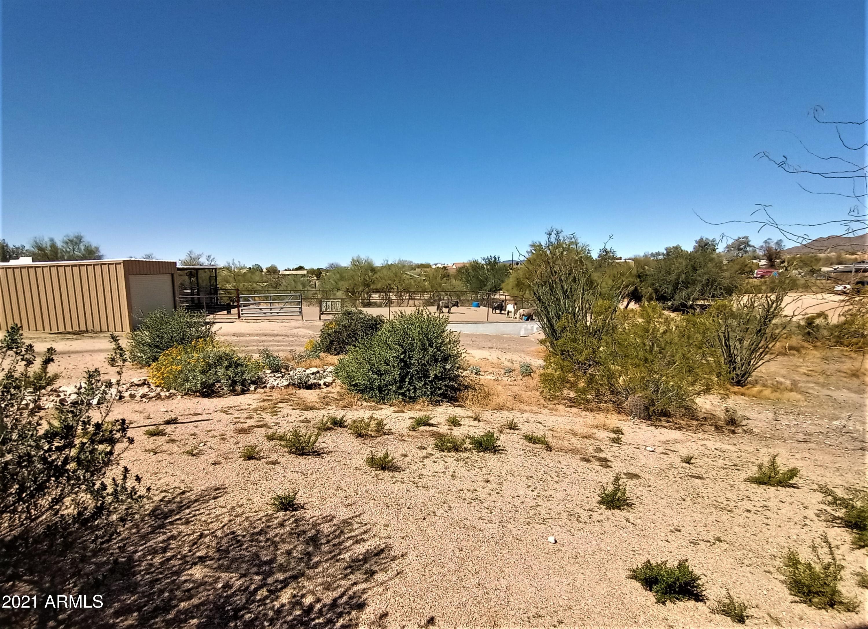 235 West Ridgecrest Road Phoenix, AZ 85086 - Photo 58 of 80 View From House Toward Horses