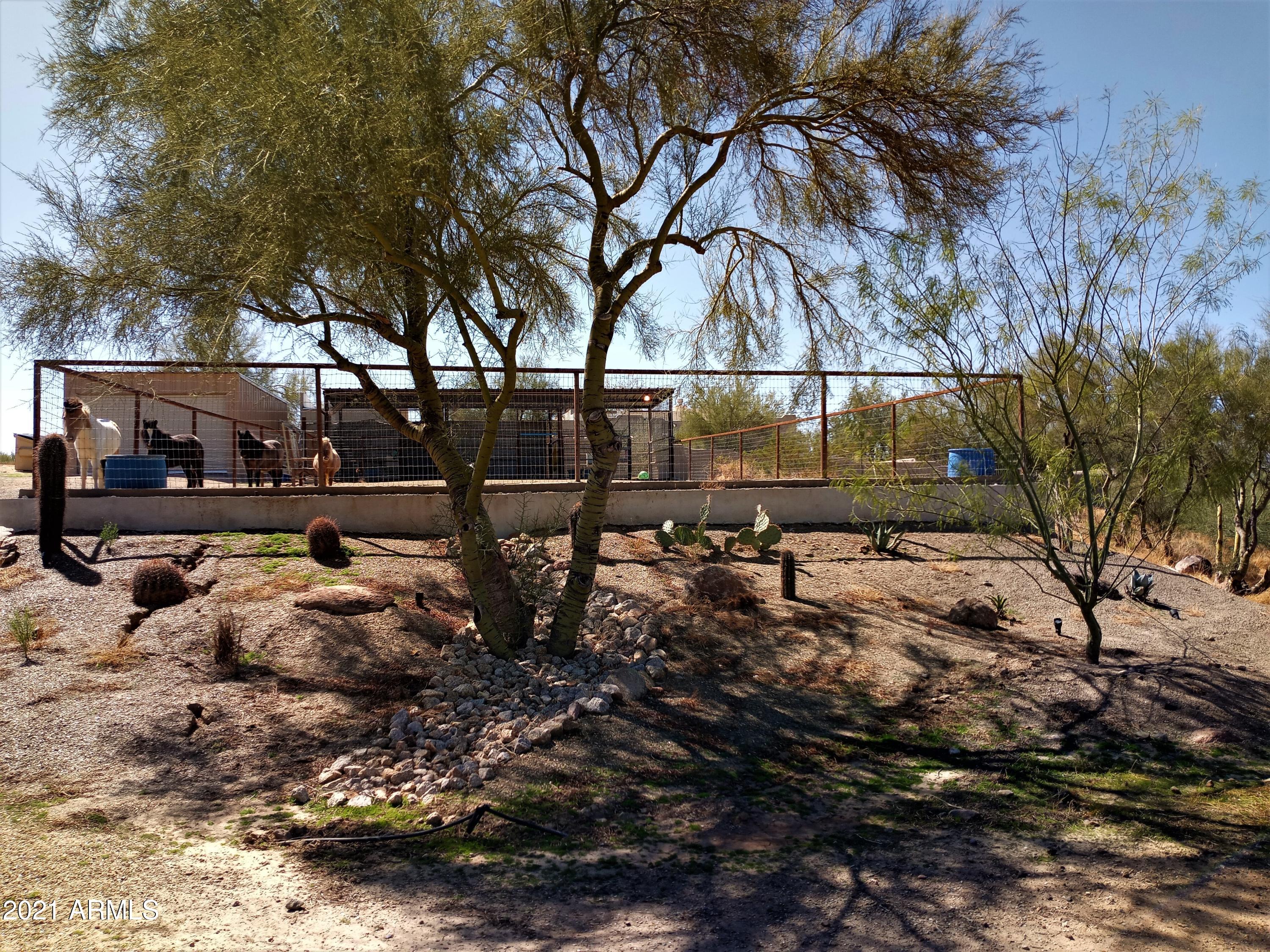 235 West Ridgecrest Road Phoenix, AZ 85086 - Photo 6 of 80 Turnout