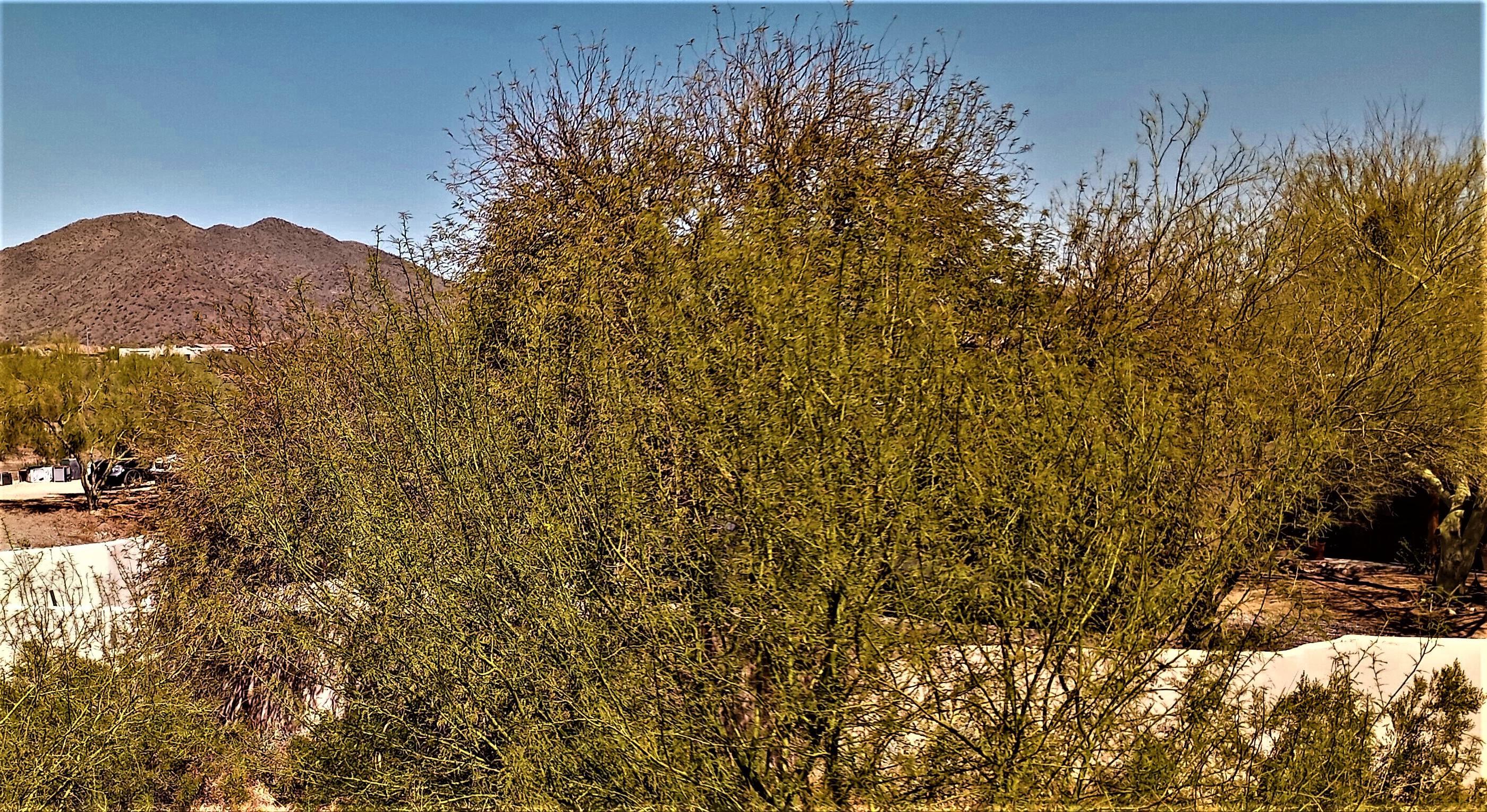 235 West Ridgecrest Road Phoenix, AZ 85086 - Photo 63 of 80 Mountain Views in Every Direction