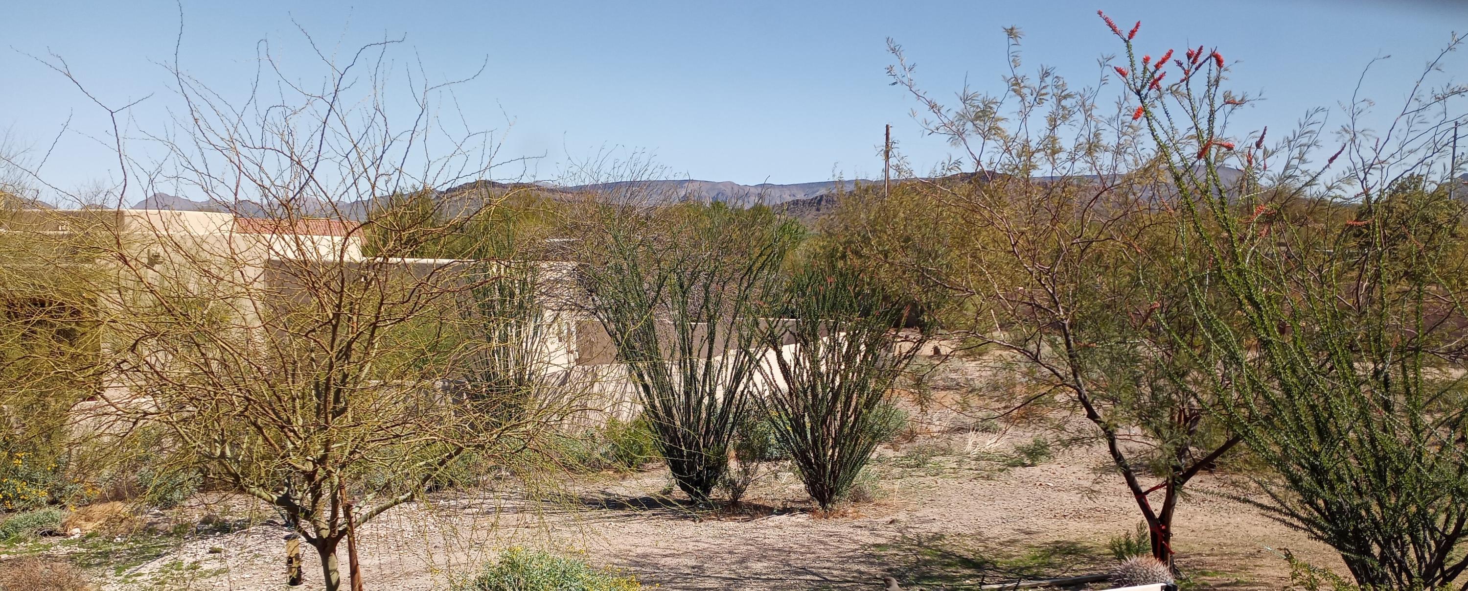 235 West Ridgecrest Road Phoenix, AZ 85086 - Photo 64 of 80 NorthEast View