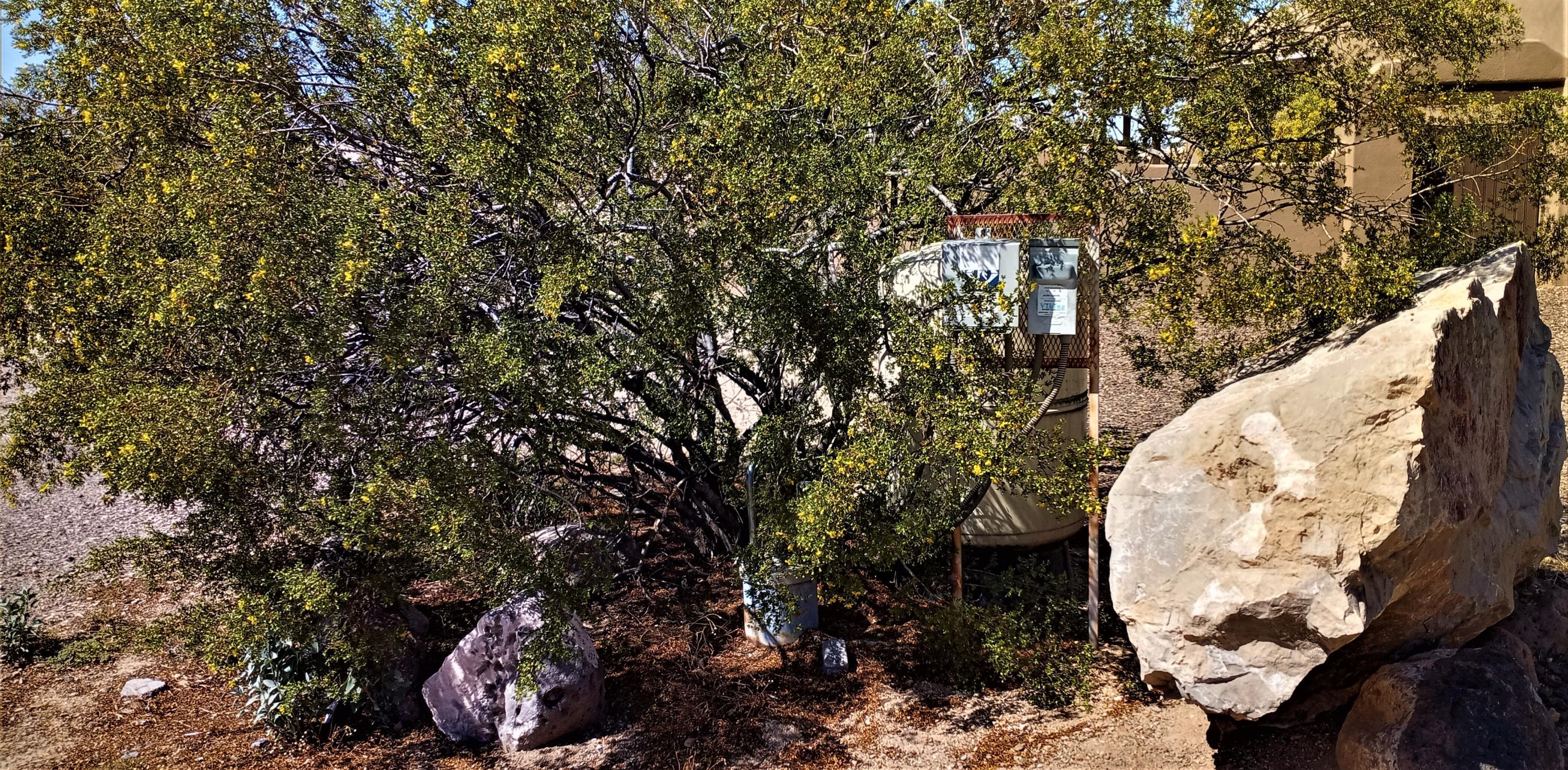 235 West Ridgecrest Road Phoenix, AZ 85086 - Photo 65 of 80 Private Well