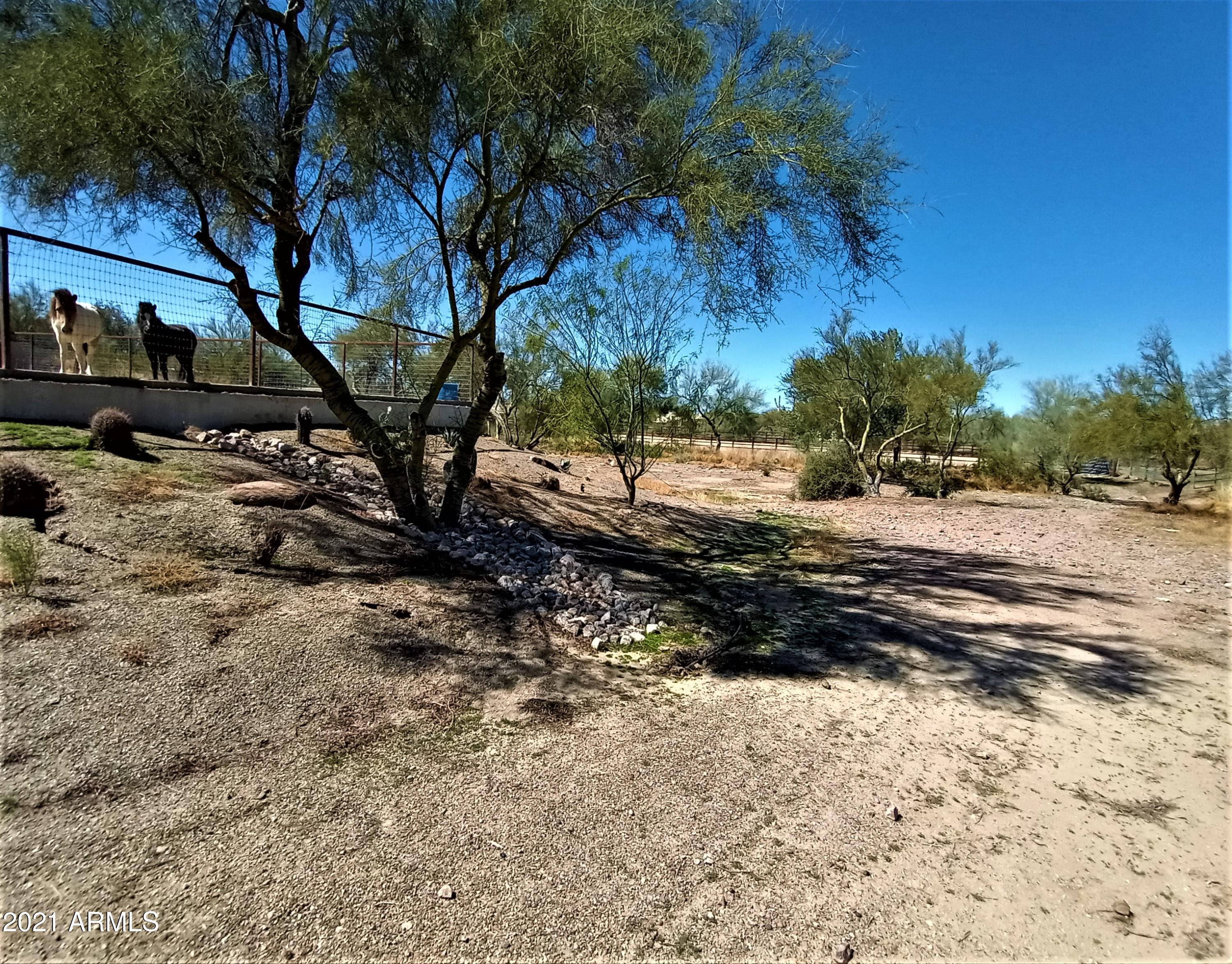 235 West Ridgecrest Road Phoenix, AZ 85086 - Photo 8 of 80 Lower Path to Arena