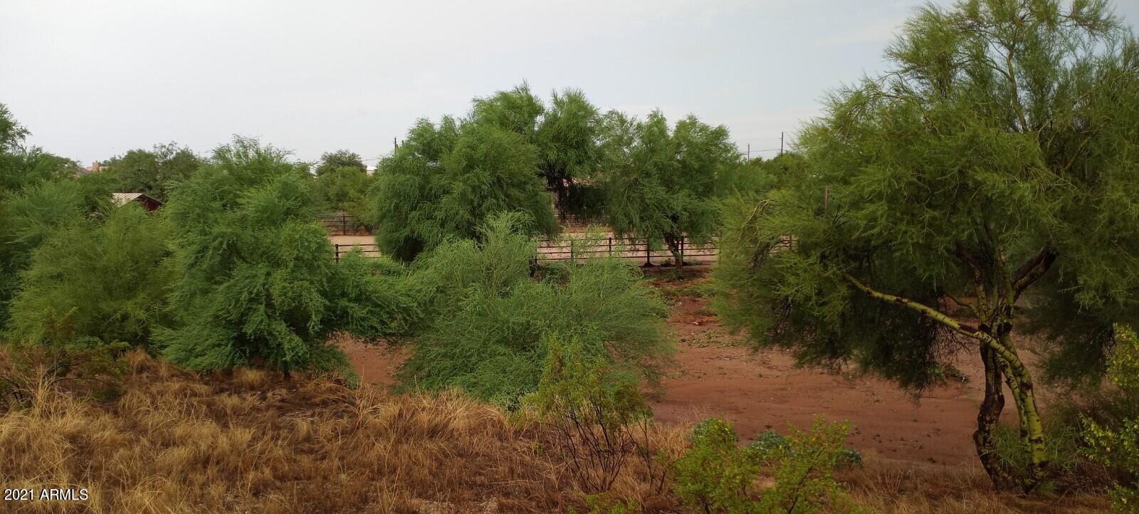 235 West Ridgecrest Road Phoenix, AZ 85086 - Photo 10 of 80 Arena Beyond Wash Area