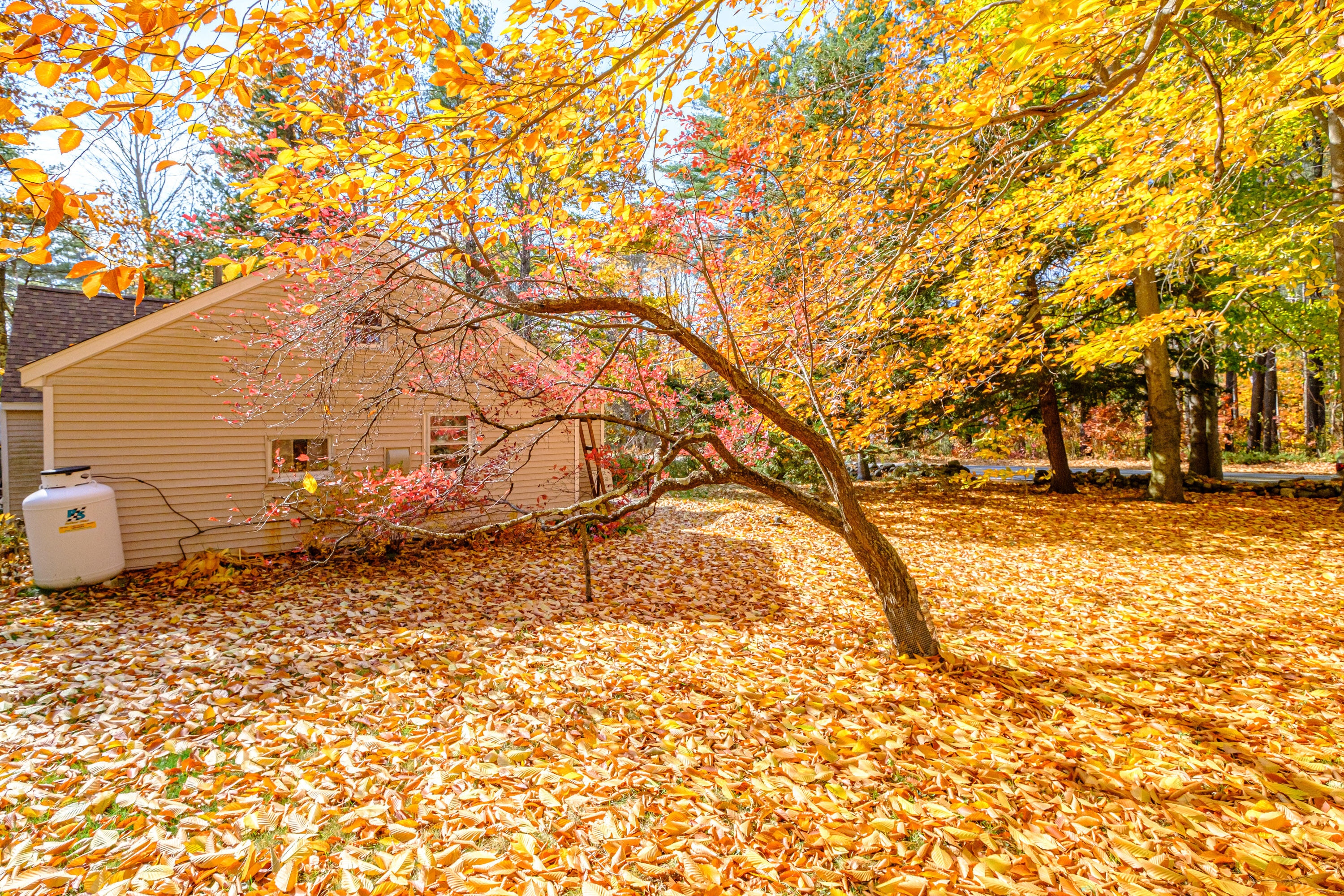 15 Orchard Road Cumberland, ME 04021 - Photo 6 of 32 20241024gp-64016