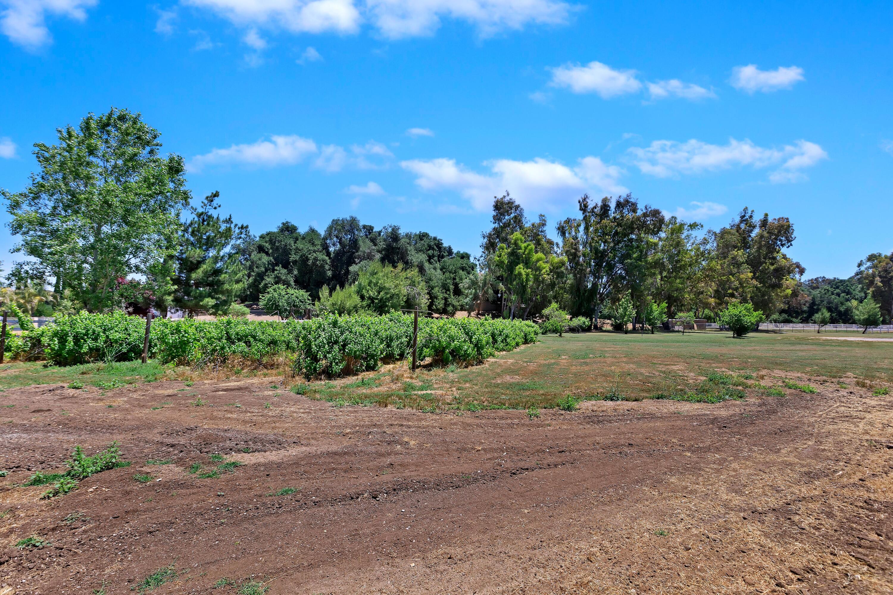 17370 Rodeo Road Lake Elsinore, CA 92530 - Photo 52 of 68 a view of dirt road with a houses