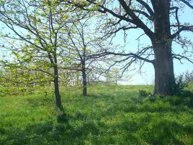 Lot 18 Secluded Ridge Tipton, IA 52772 - Photo 10 of 18 Gallery Image 10