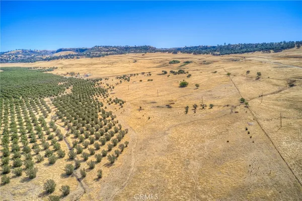 a view of ocean view with large trees