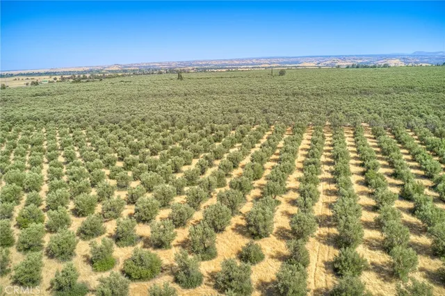 a view of an ocean and beach