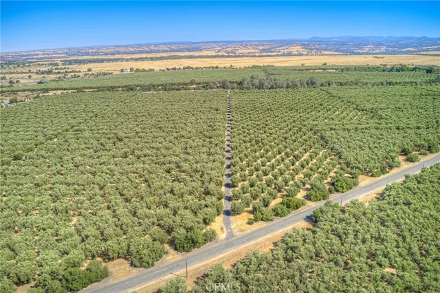 a view of an outdoor space and a yard