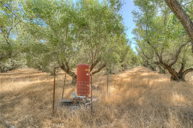 a view of a house with a tree