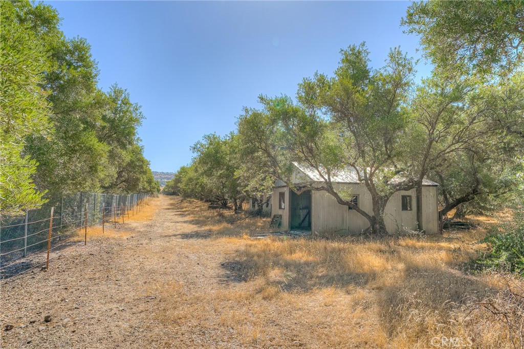 16 Rocky Drive Oroville, CA 95965 - Photo 56 of 61 a view of a yard with plants and trees