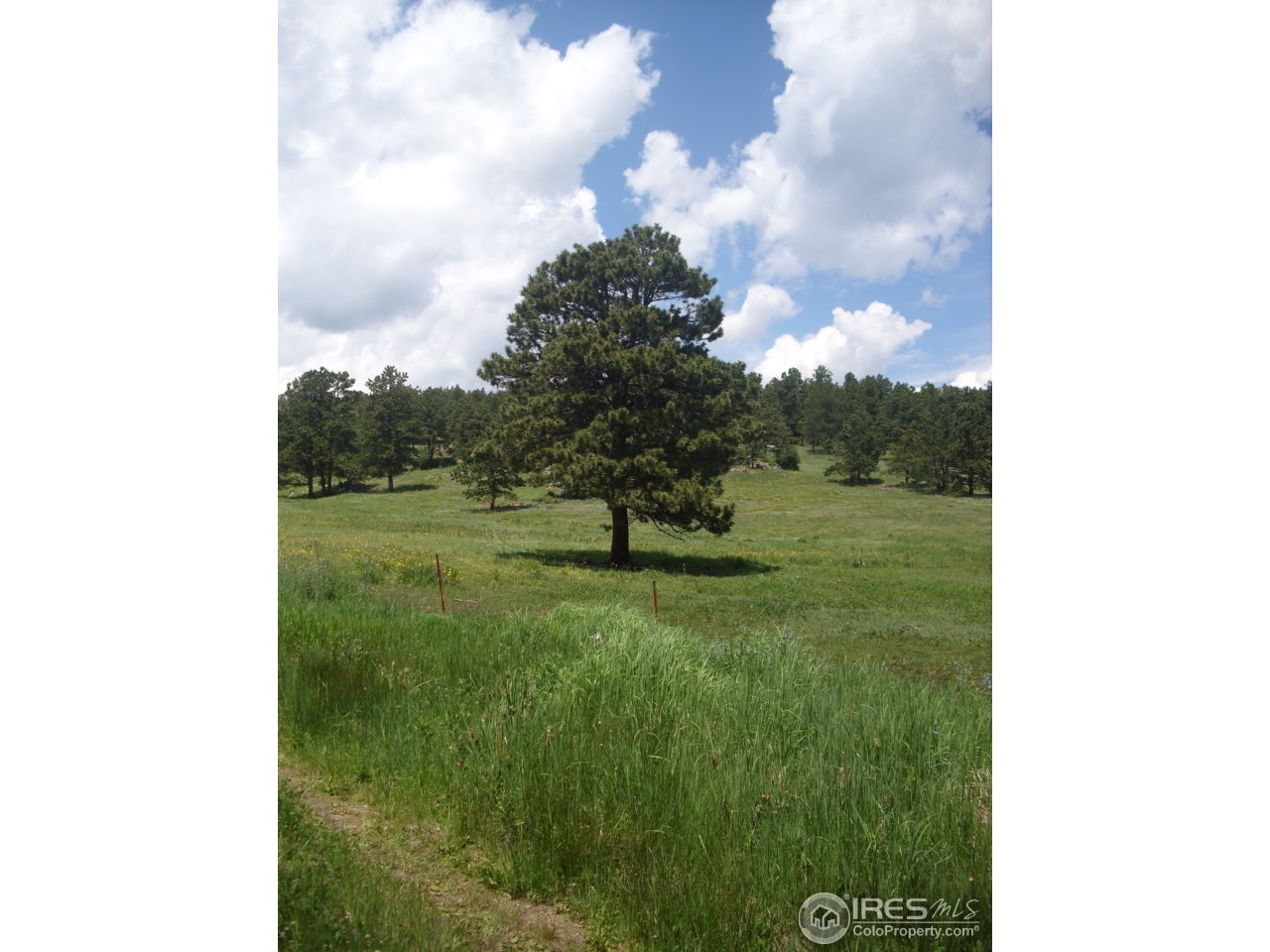 273 Ridge Road Ward, CO 80481 - Photo 1 of 2