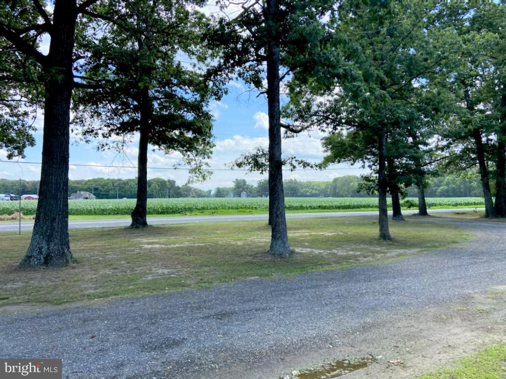 26162 Fire Tower Road Seaford, DE 19973 - Photo 20 of 22 Gallery Image 20