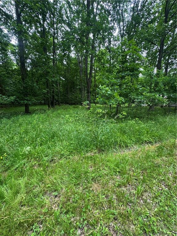 0 Trails End Road Linesville, PA 16424 - Photo 3 of 5 a view of outdoor space and yard