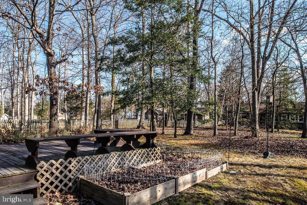 3915 Doran Road Fredericksburg, VA 22407 - Photo 17 of 57 a view of a yard with plants and trees