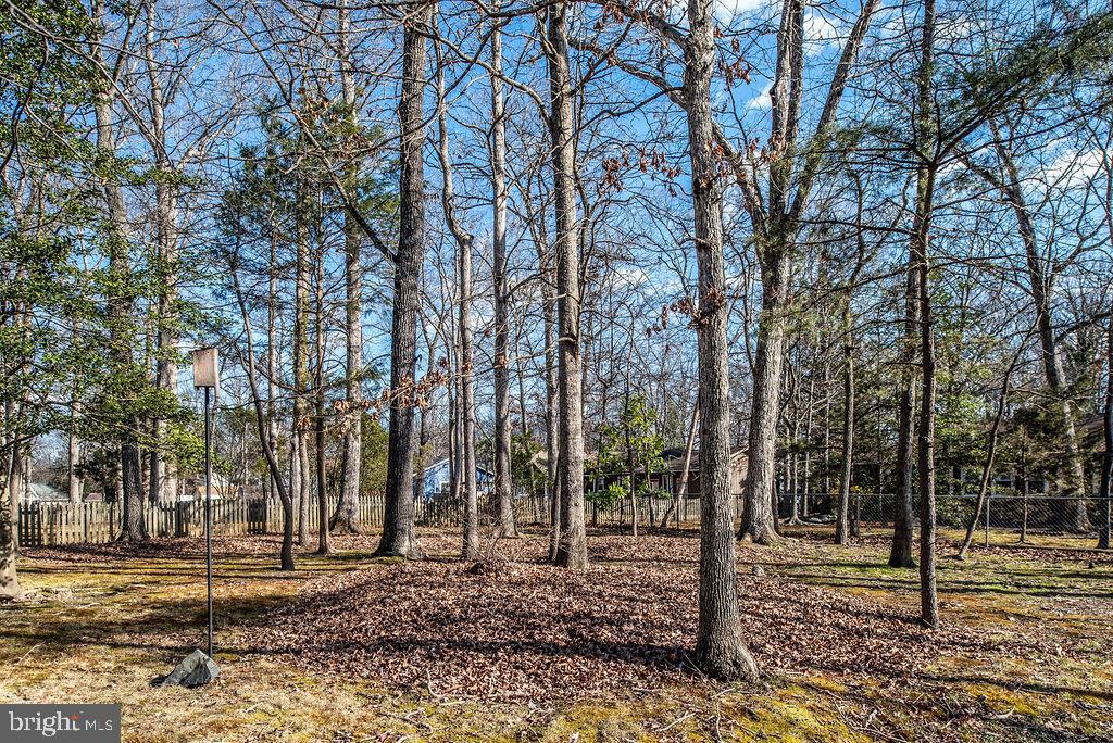 3915 Doran Road Fredericksburg, VA 22407 - Photo 18 of 57 a backyard of a house with lots of trees
