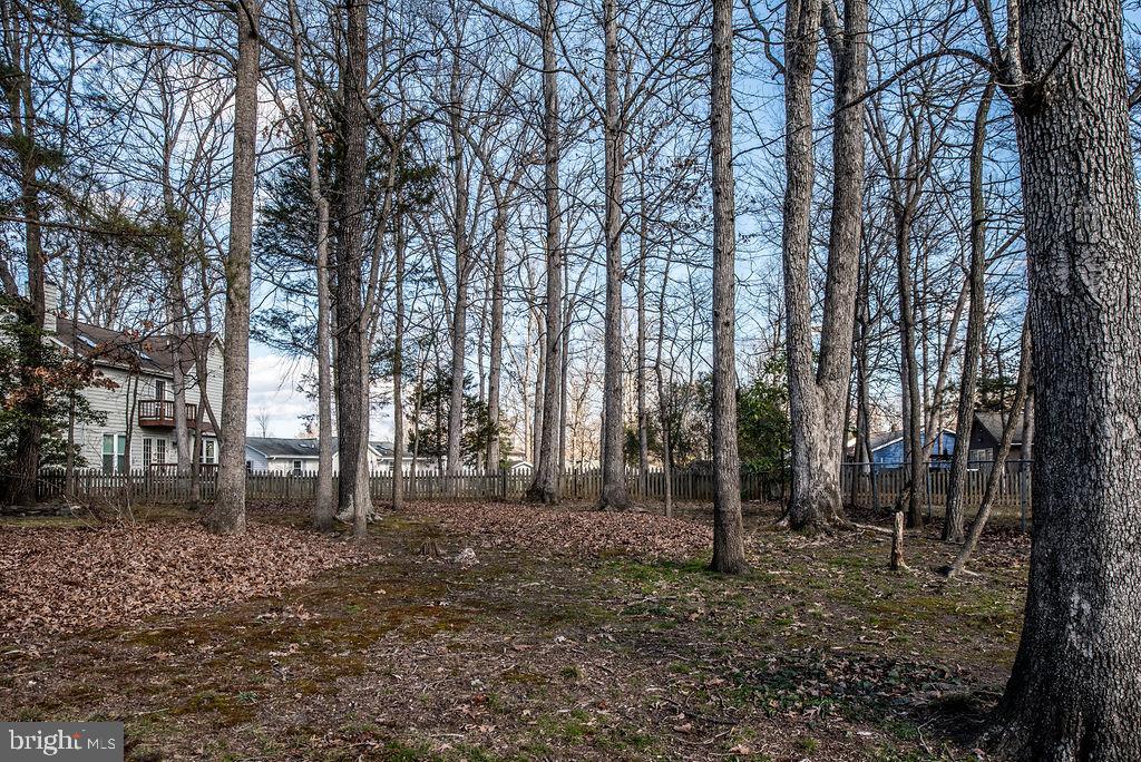 3915 Doran Road Fredericksburg, VA 22407 - Photo 20 of 57 a backyard of a house with lots of green space