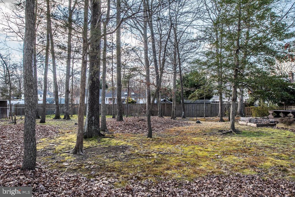 3915 Doran Road Fredericksburg, VA 22407 - Photo 23 of 57 a backyard of apartments with large trees