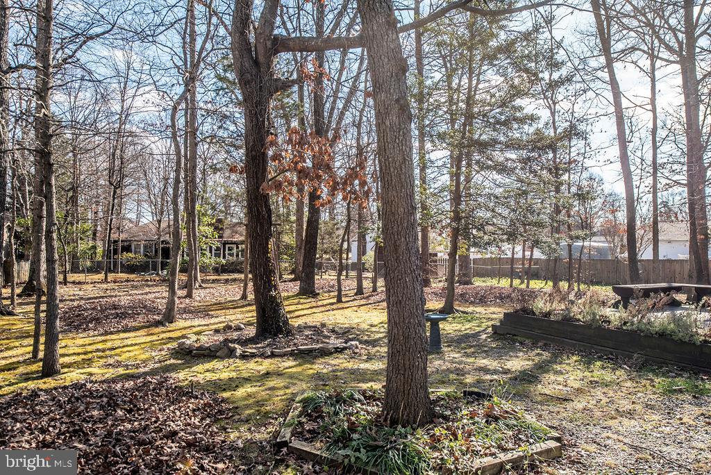 3915 Doran Road Fredericksburg, VA 22407 - Photo 10 of 57 a view of a trees and yard