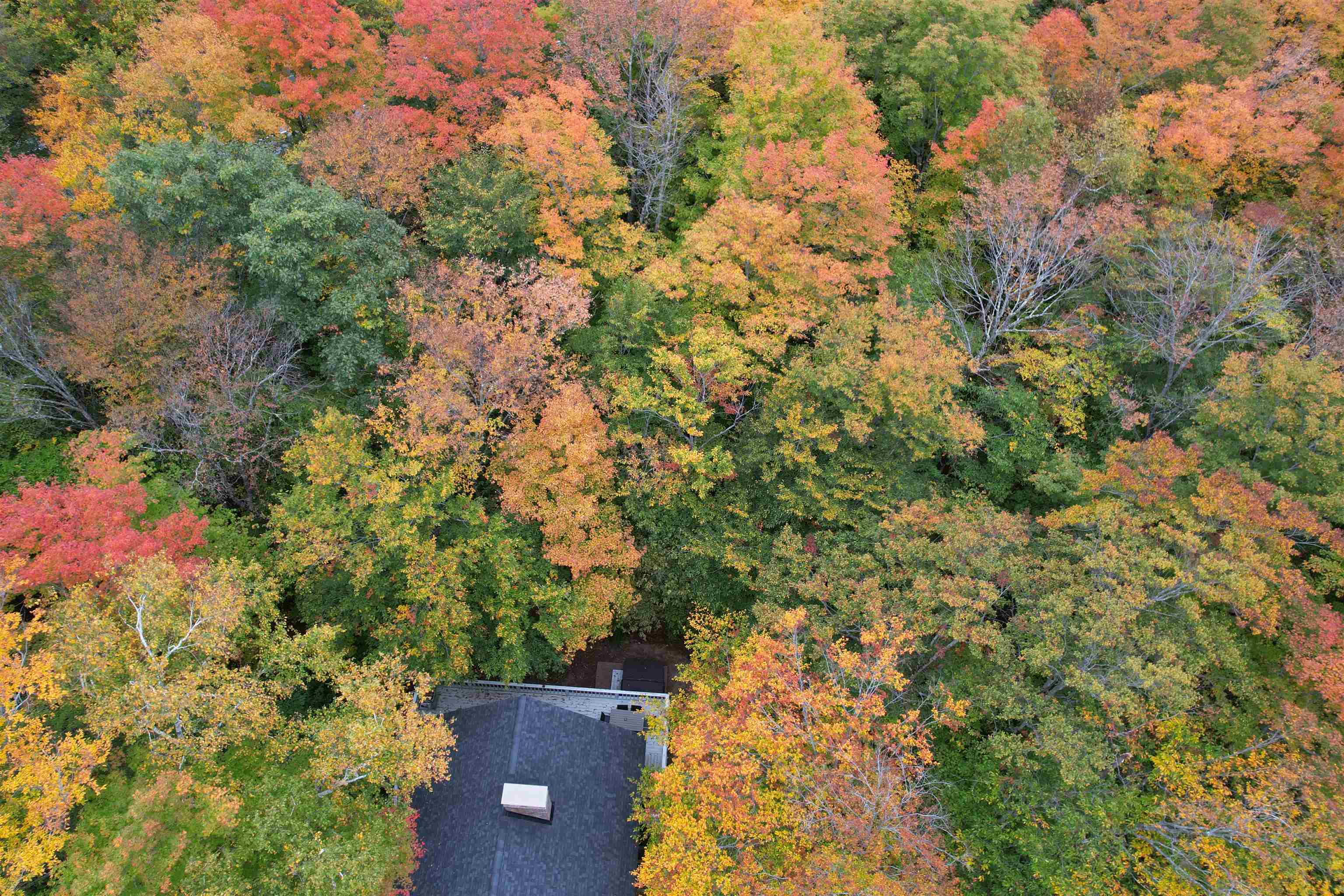 91 Burke Road Hart's Location, NH 03812 - Photo 43 of 55 Gallery Image 43
