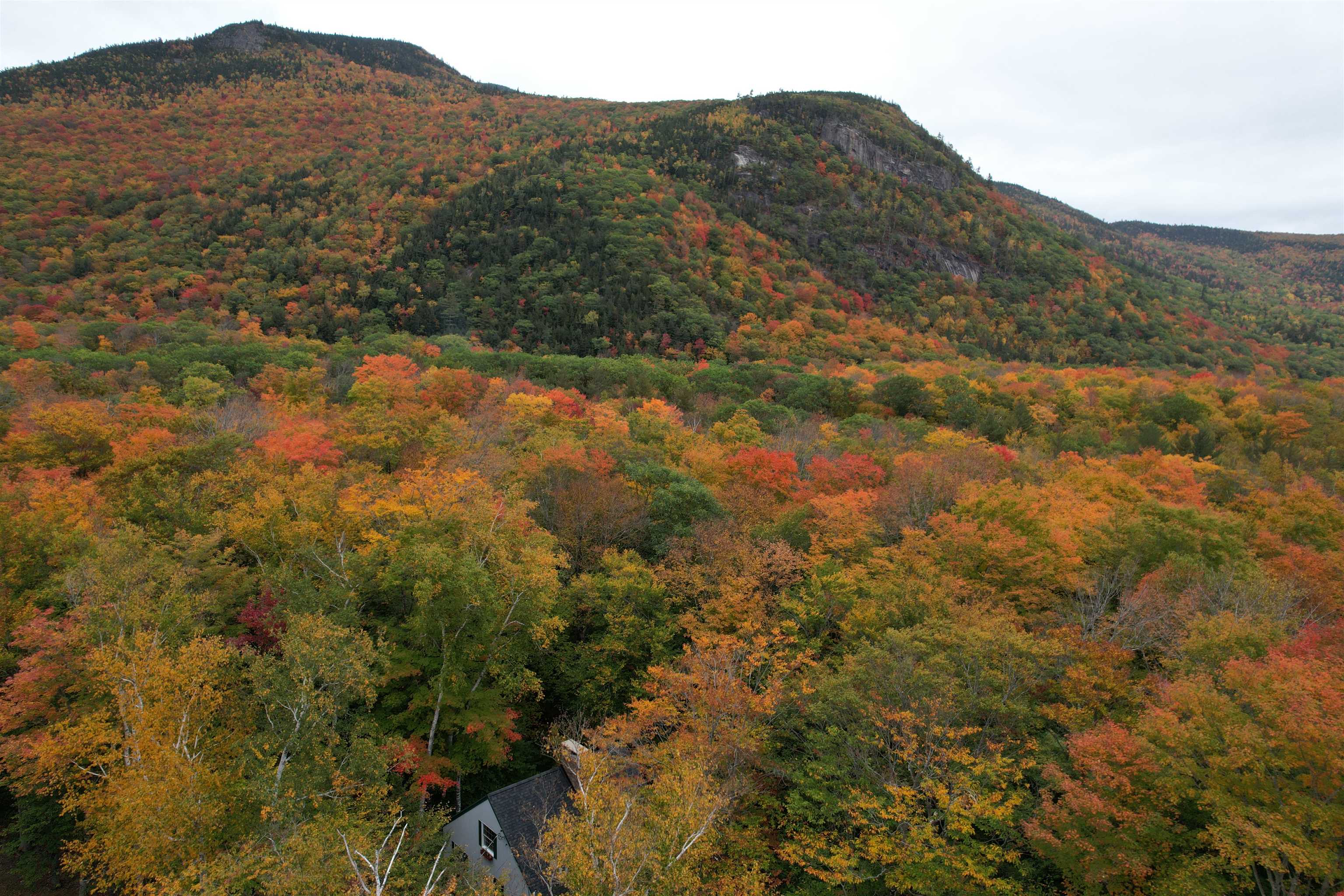 91 Burke Road Hart's Location, NH 03812 - Photo 45 of 55 Gallery Image 45