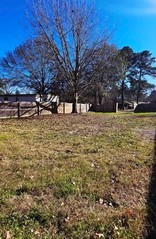 a view of a water with large trees