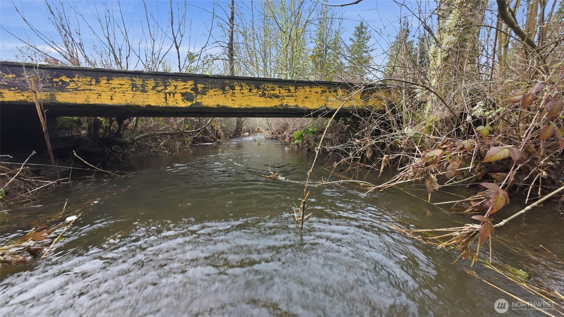 20109 Neat Road Southeast Yelm, WA 98597 - Photo 21 of 35