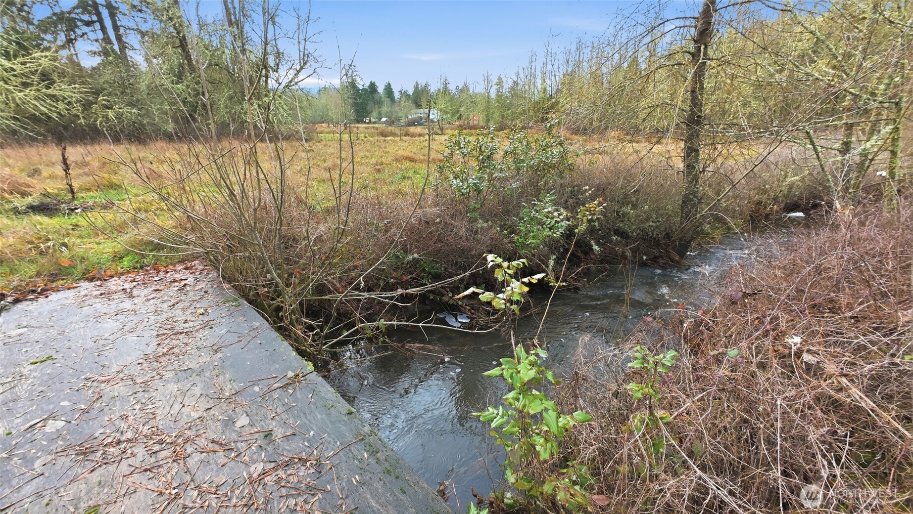 20109 Neat Road Southeast Yelm, WA 98597 - Photo 23 of 35