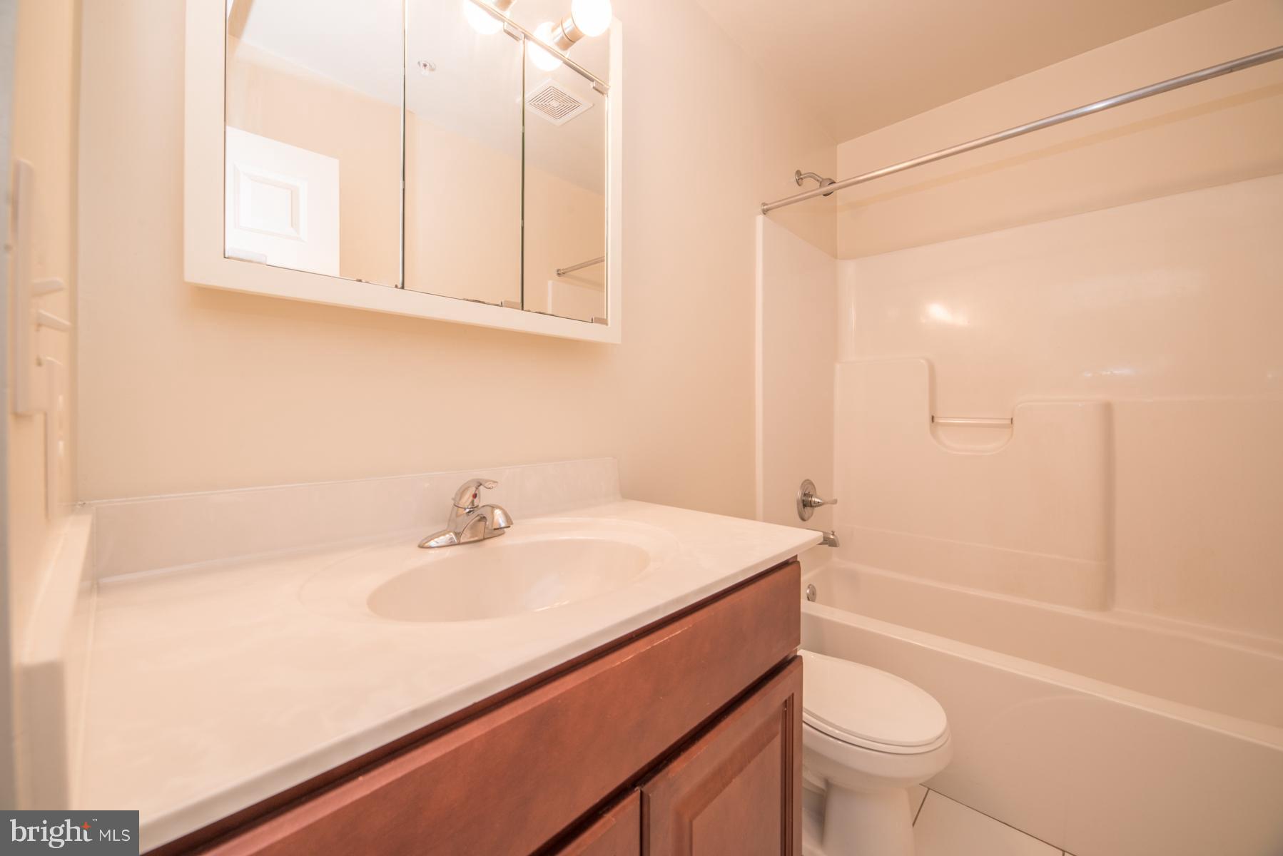 1011 Wampler Road Baltimore, MD 21220 - Photo 17 of 30 Full Bath