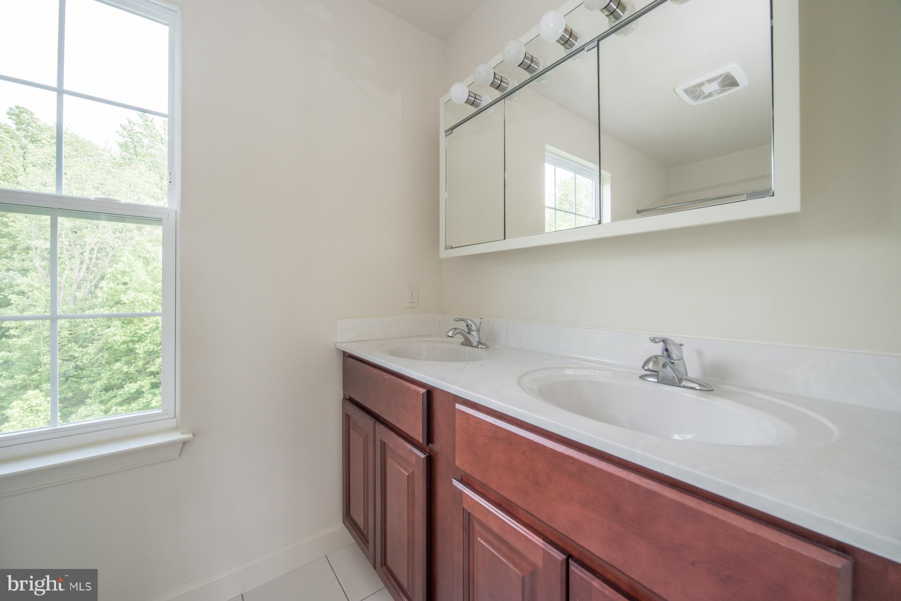 1011 Wampler Road Baltimore, MD 21220 - Photo 23 of 30 Master Bath