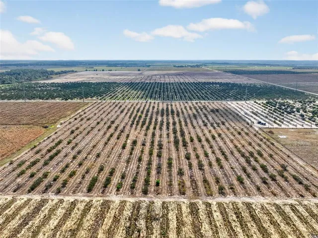 a view of swimming pool with mountain view