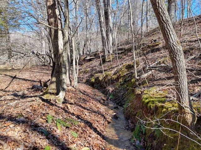 2912 Gribble Edwards Road Hayesville, NC 28904 - Photo 39 of 46 A creek runs through it