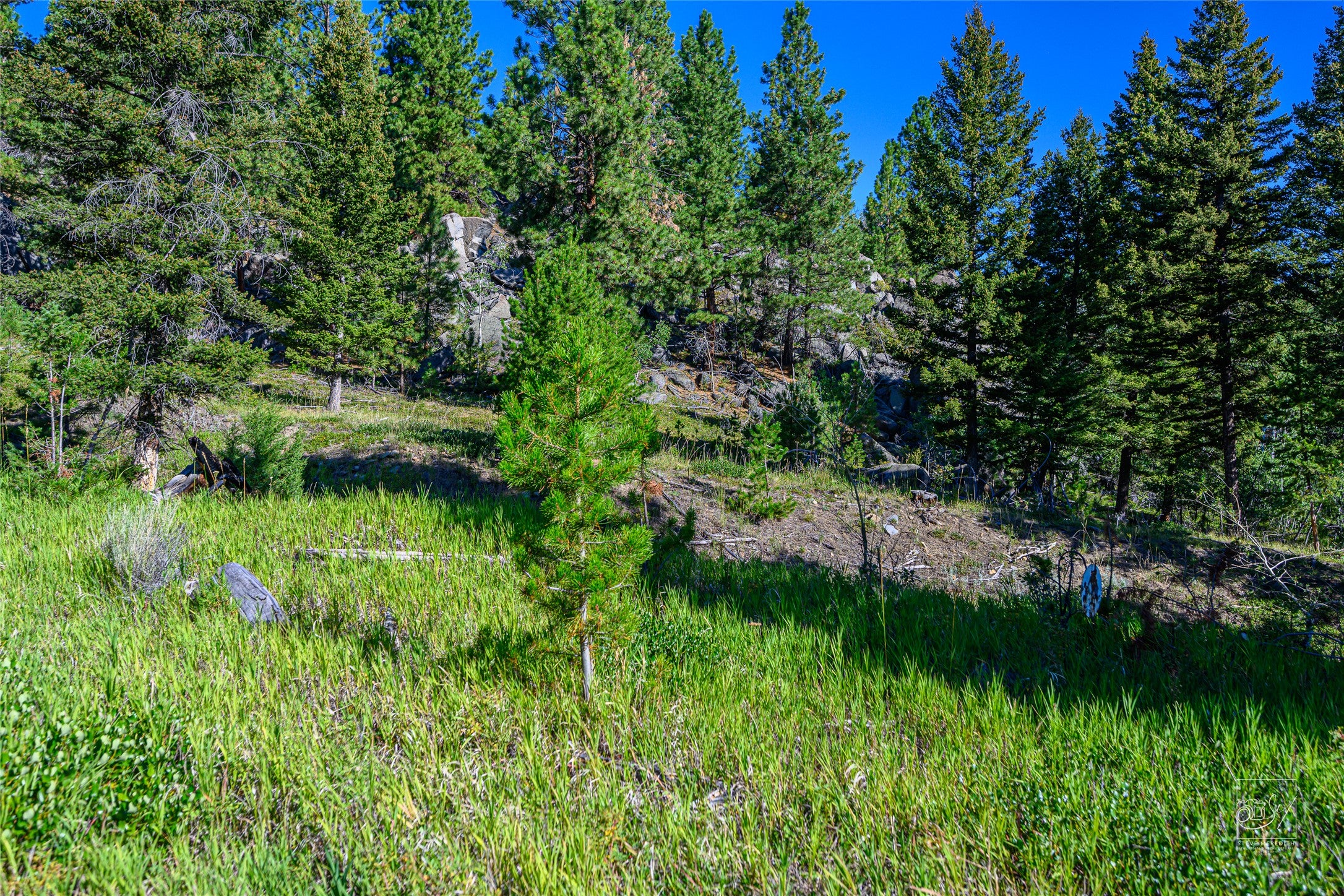 A1 Hill Brothers Road Clancy, MT 59634 - Photo 8 of 26 Gallery Image 8