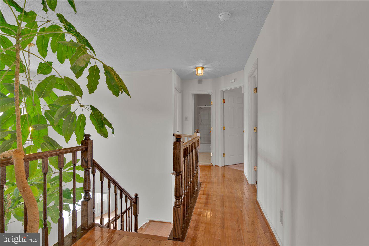 197 Aberdeen Road Williamstown, NJ 08094 - Photo 37 of 60 Gallery Image 37