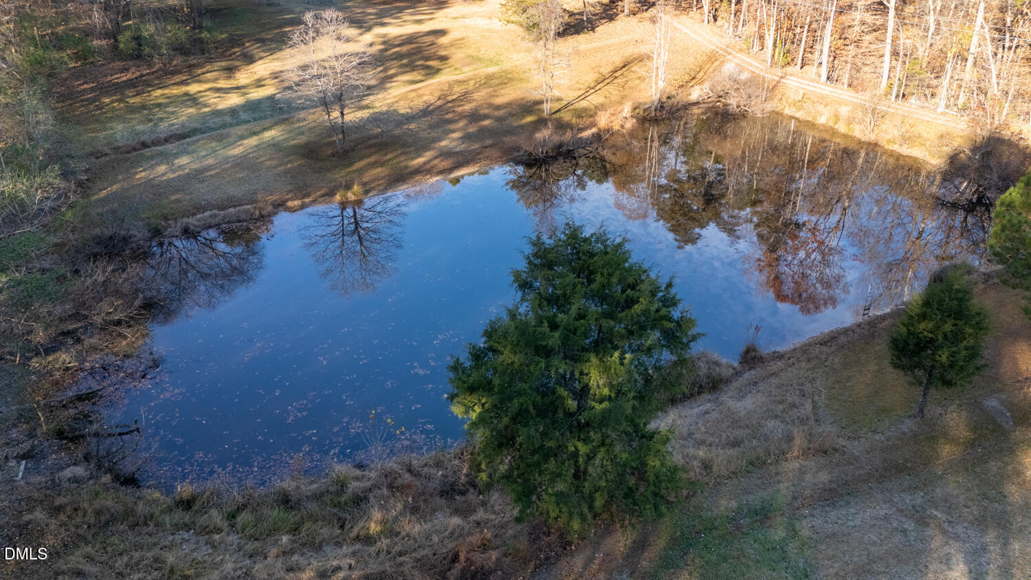 2961 Wormranch Road Haw River, NC 27258 - Photo 26 of 27 a view of a yard in a yard