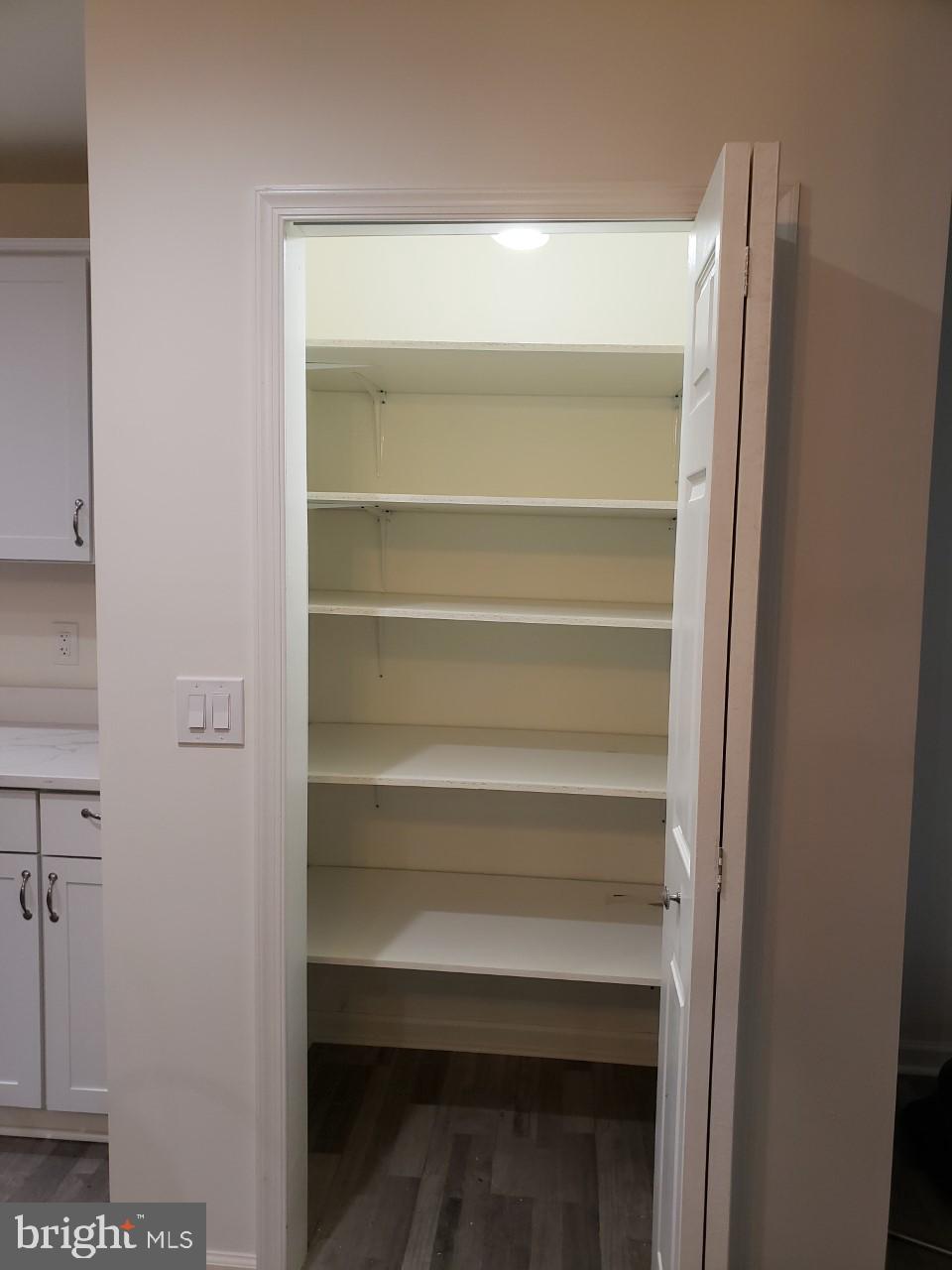 204 Park Avenue Ridgely, MD 21660 - Photo 21 of 52 Built-in pantry with light and lots of shelving