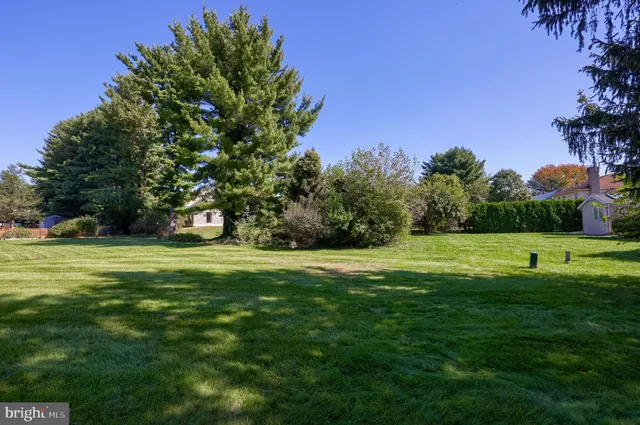 a view of a trees with a big yard