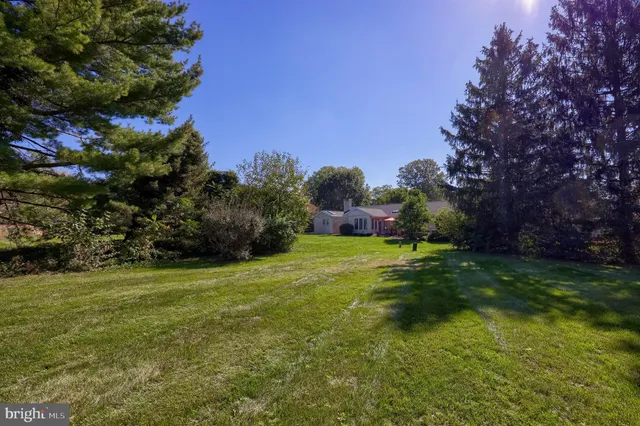 a view of a field with large trees