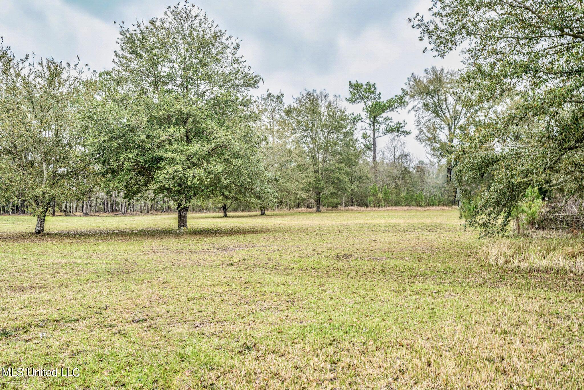 Cuevas Delisle Rd Rd Pass Pass Christian, MS 39571 - Photo 3 of 3 Land Pic 3