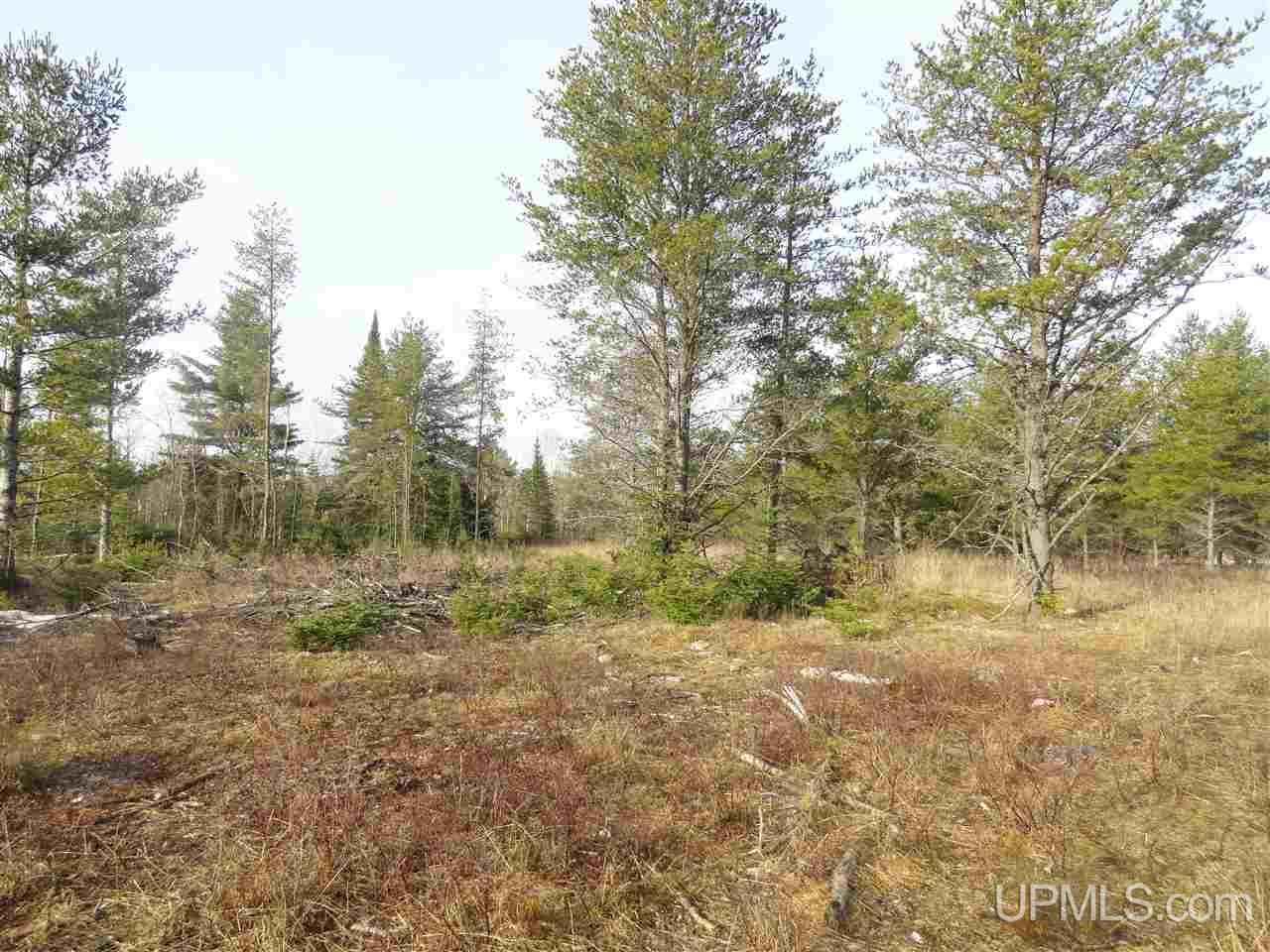 116-acres 116-acres Co Road Negaunee, MI 49866 - Photo 1 of 37