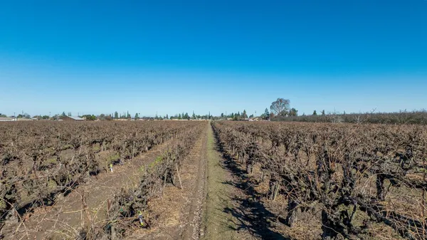 a view of lake and mountain