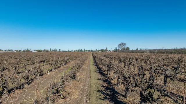 a view of lake and mountain