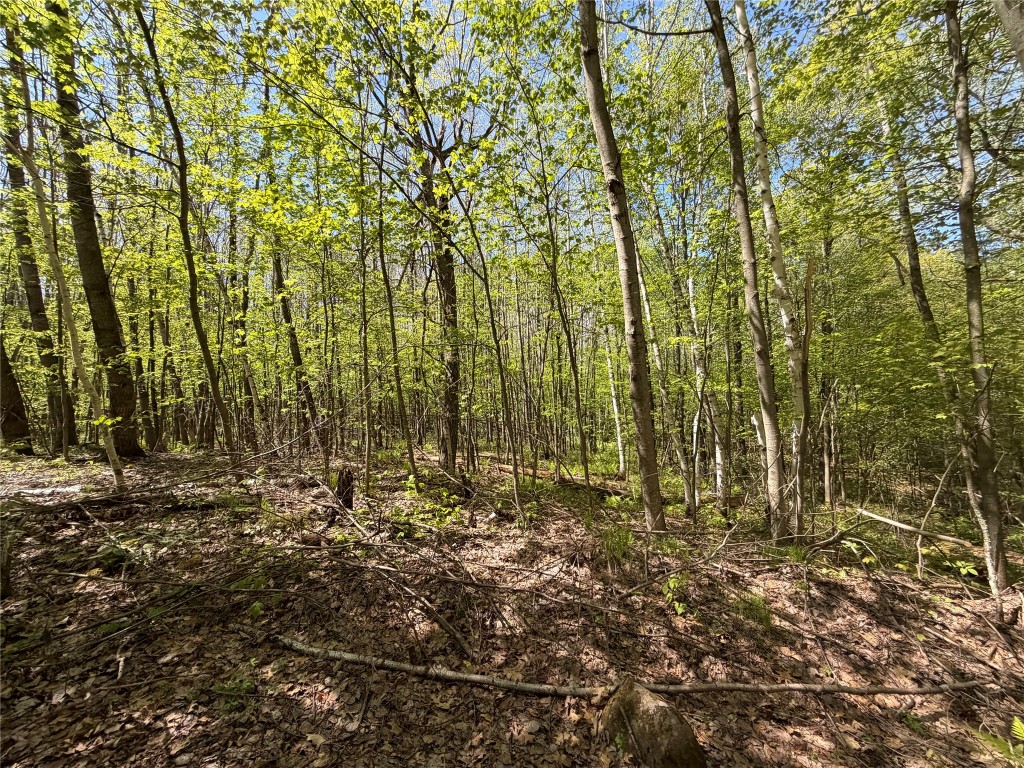 Lot 4 Peterson Road Foxboro, WI 54836 - Photo 6 of 11