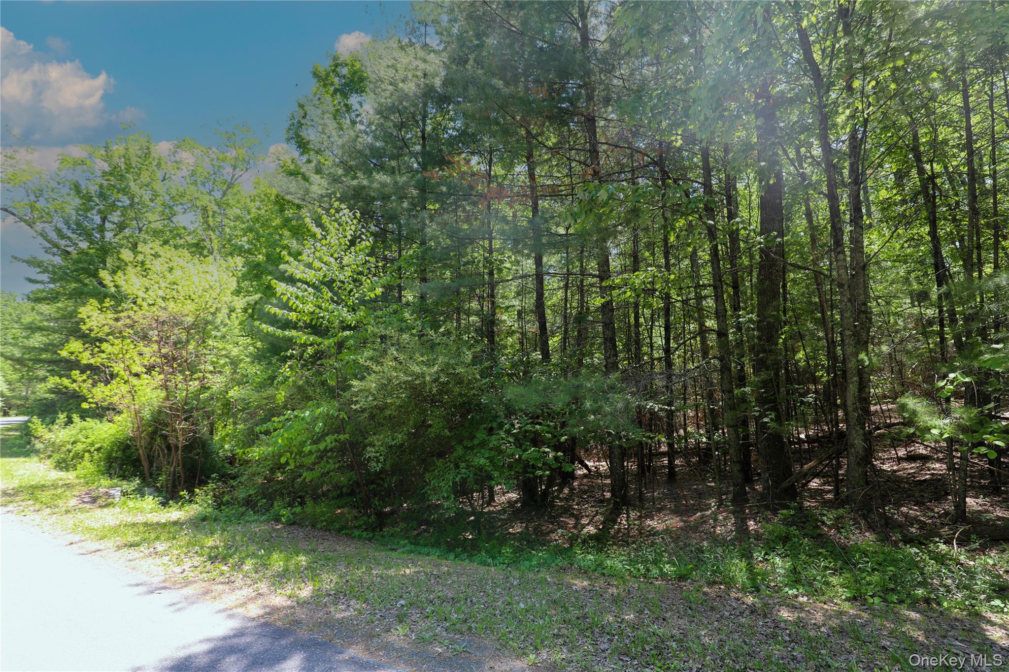 Tbd Bristol Hill Road Hurley, NY 12443 - Photo 8 of 17 a view of outdoor space and yard