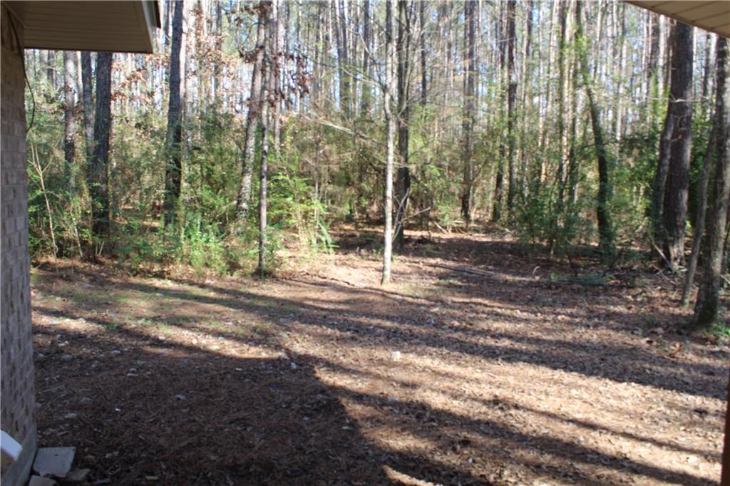 361 Elmus Paul Road Deville, LA 71328 - Photo 7 of 17